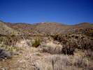 photo thumbnail #4