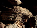 photo thumbnail #15