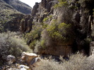 photo thumbnail #6