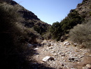photo thumbnail #10