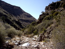 photo thumbnail #12