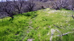 photo thumbnail #10