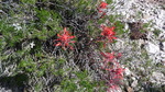 photo thumbnail #14