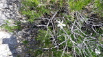 photo thumbnail #15