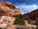 photo thumbnail #8
