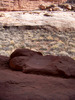 photo thumbnail #13