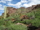 photo thumbnail #1
