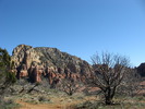 photo thumbnail #3