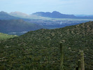 photo thumbnail #2