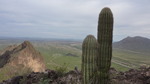 photo thumbnail #1