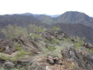 photo thumbnail #6