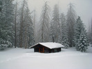 photo thumbnail #12