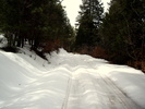 photo thumbnail #3