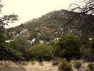 photo thumbnail #8