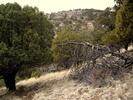photo thumbnail #9