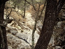 photo thumbnail #10