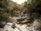 photo thumbnail #13