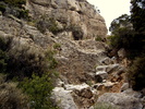 photo thumbnail #15
