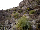 photo thumbnail #8