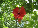 photo thumbnail #12