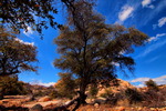 photo thumbnail #6