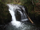 photo thumbnail #1