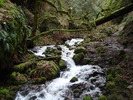 photo thumbnail #10