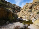 photo thumbnail #11