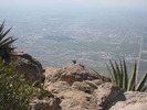 photo thumbnail #1