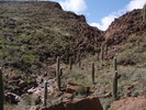 photo thumbnail #4