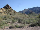 photo thumbnail #13