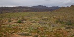 photo thumbnail #11