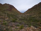photo thumbnail #14