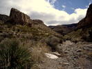 photo thumbnail #2