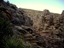 photo thumbnail #5
