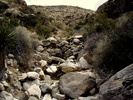 photo thumbnail #14