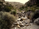 photo thumbnail #15