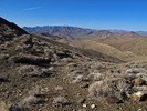photo thumbnail #7