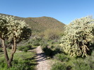 photo thumbnail #7