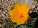 photo thumbnail #10