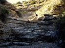 photo thumbnail #12