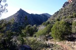 photo thumbnail #8
