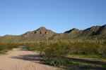 photo thumbnail #2