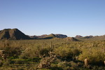 photo thumbnail #4