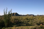 photo thumbnail #5