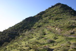 photo thumbnail #9