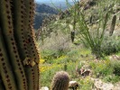 photo thumbnail #4