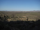 photo thumbnail #2