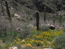 photo thumbnail #15