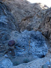 photo thumbnail #5